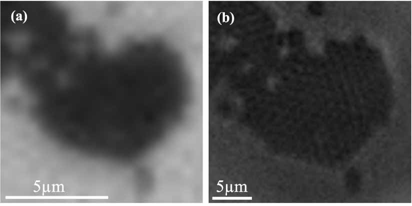 High-resolution multi-modal imaging of sub-cellular structures with low ...