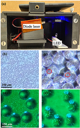 High-resolution multi-modal imaging of sub-cellular structures with low ...