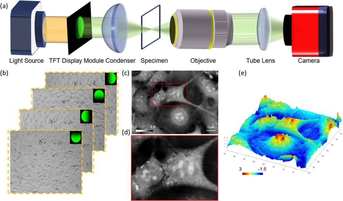 Quantitative differential phase contrast imaging system using FPGA for ...