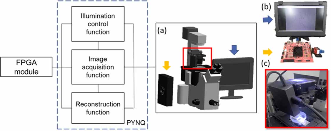 Quantitative differential phase contrast imaging system using FPGA for ...
