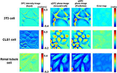 Quantitative differential phase contrast imaging system using FPGA for ...
