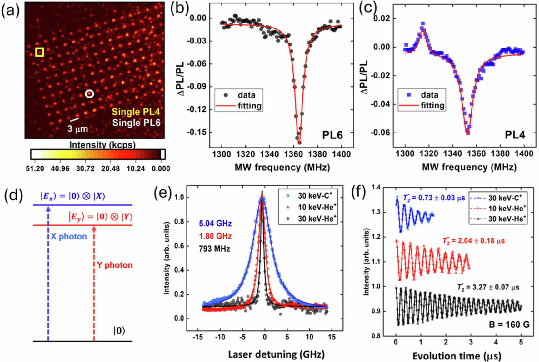Chip-scale quantum sensors based on an integrated silicon carbide ...