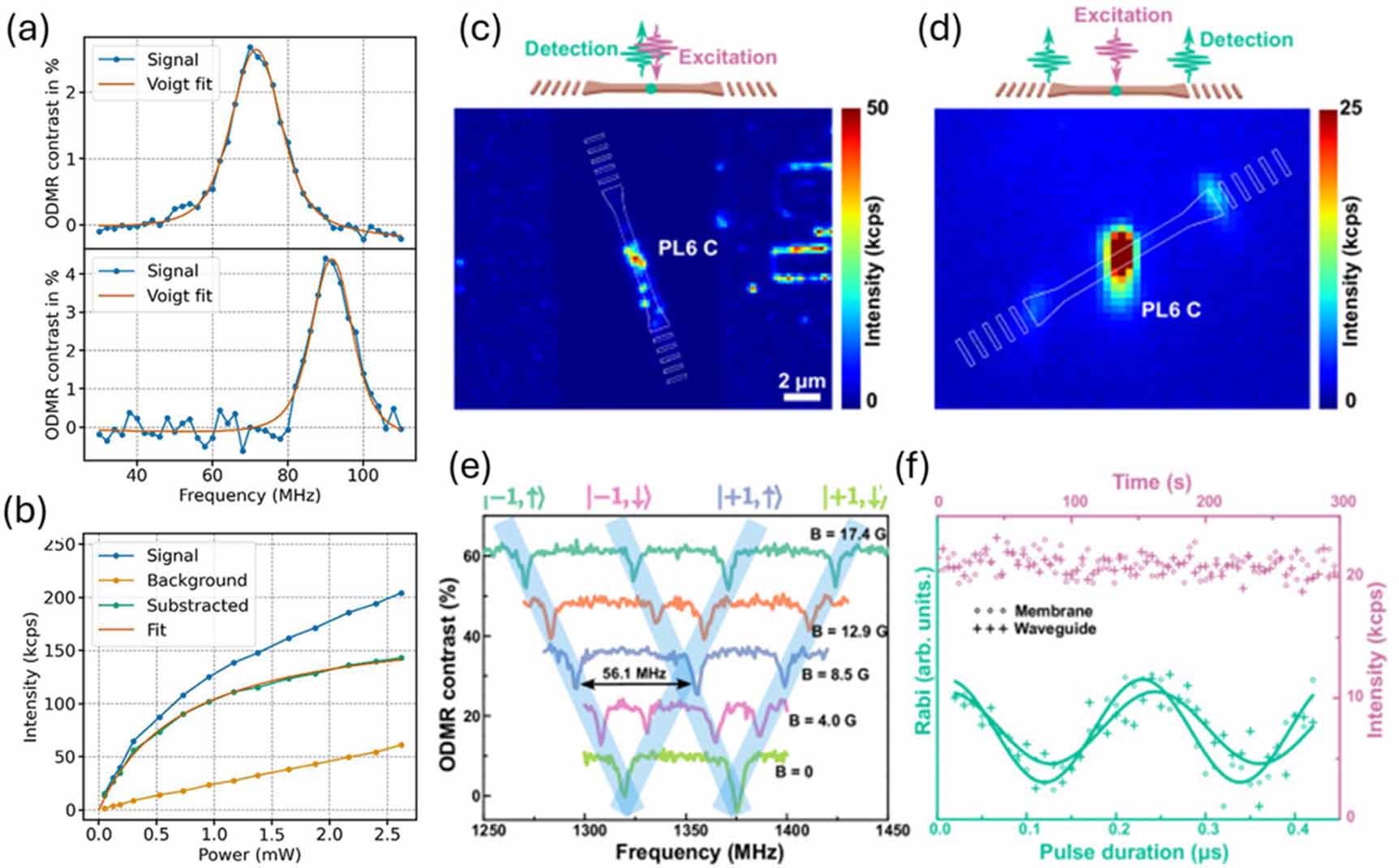 Chip-scale quantum sensors based on an integrated silicon carbide ...