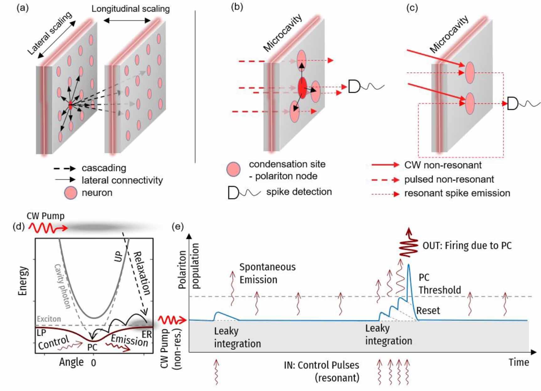 Advancing optical spiking neural networks with exciton-polaritons ...