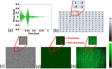 Array of vector vortex beam for audio security - IOPscience