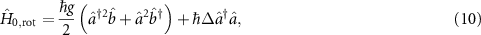 Equation (10)
