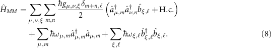 Equation (8)