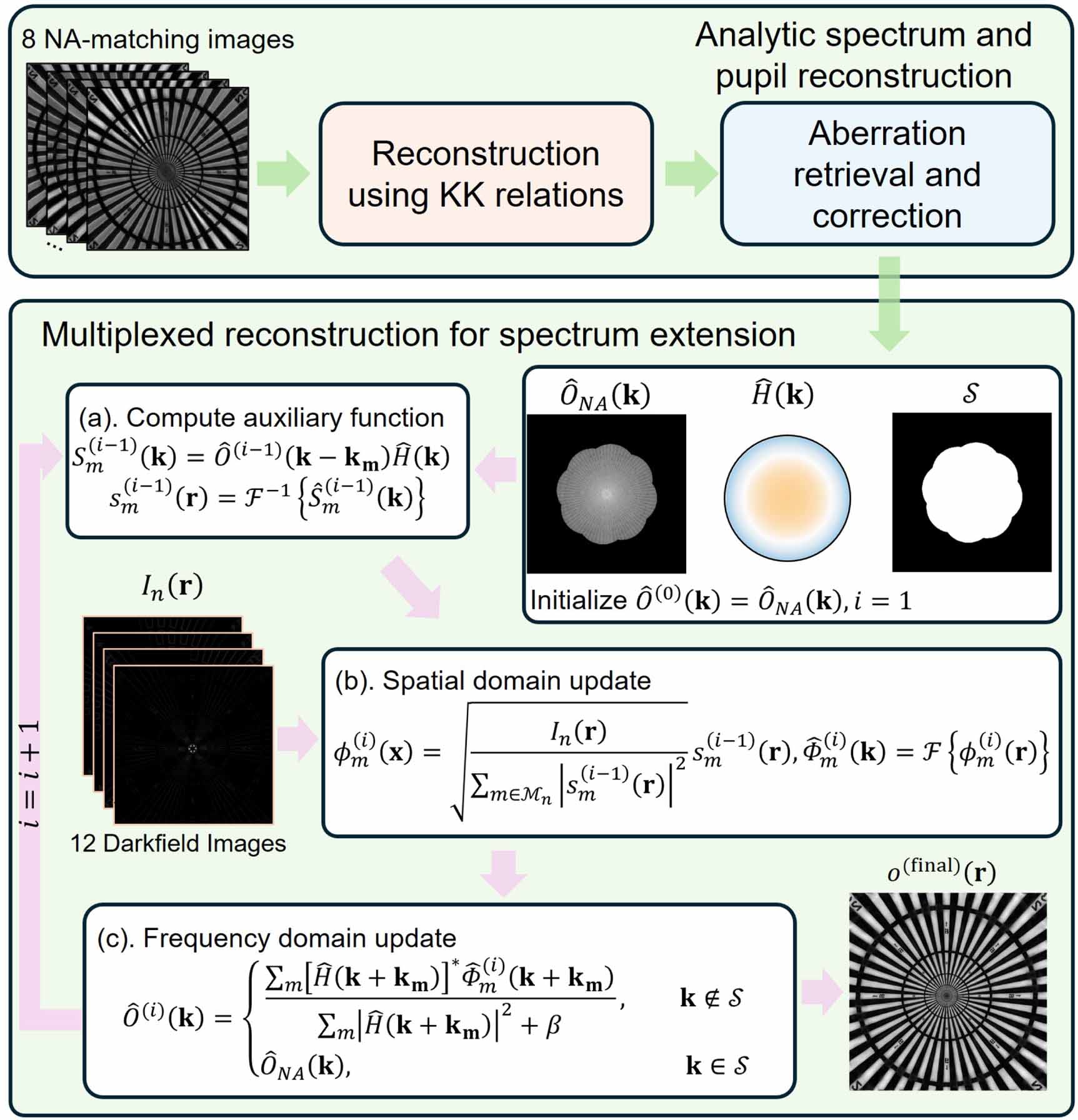 Hybrid-illumination multiplexed Fourier ptychographic microscopy with ...