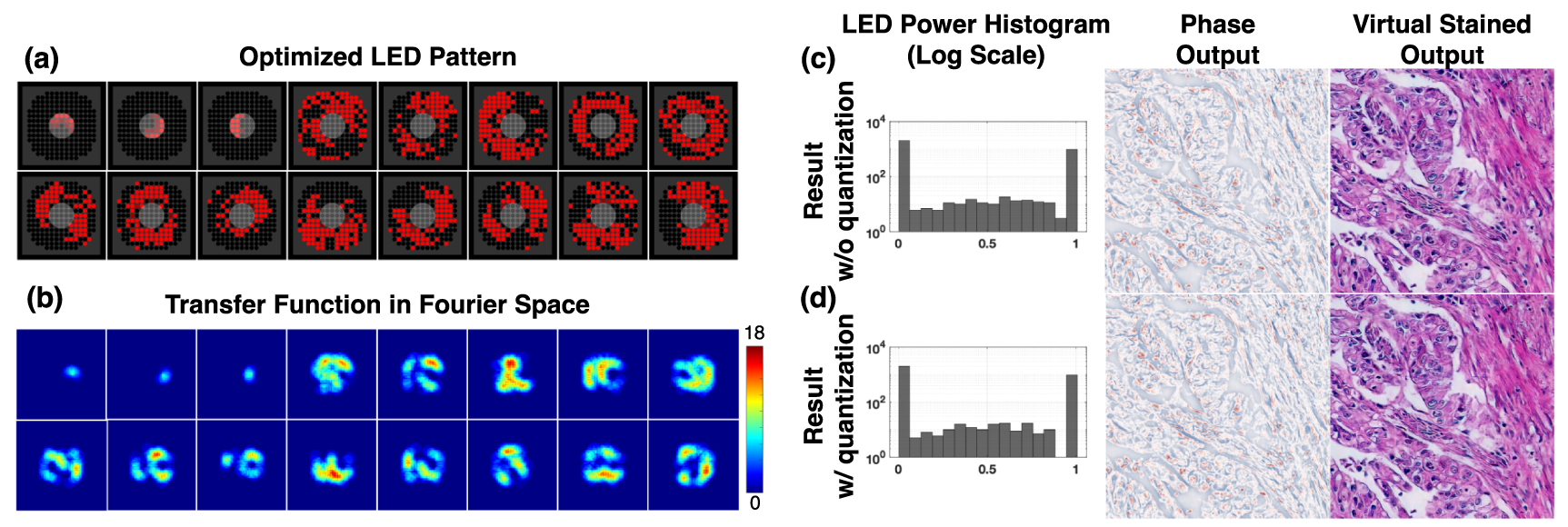 Semi-supervised virtual staining using learned-illumination Fourier ...