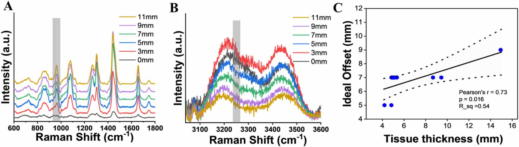 Raman spectroscopy based framework for in-vivo assessment of bone ...