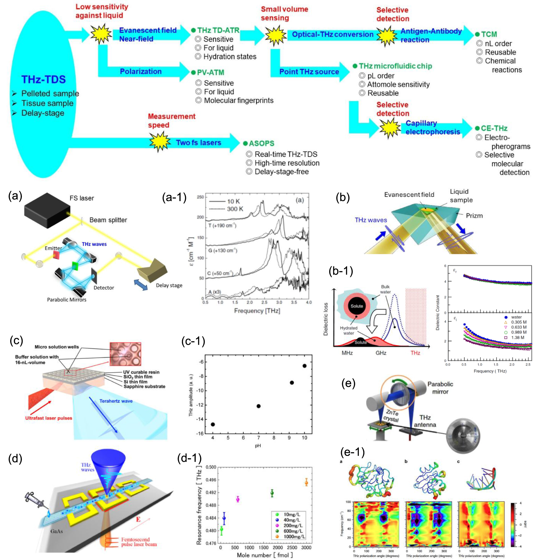 Recent advances and emerging directions in terahertz biophotonics ...