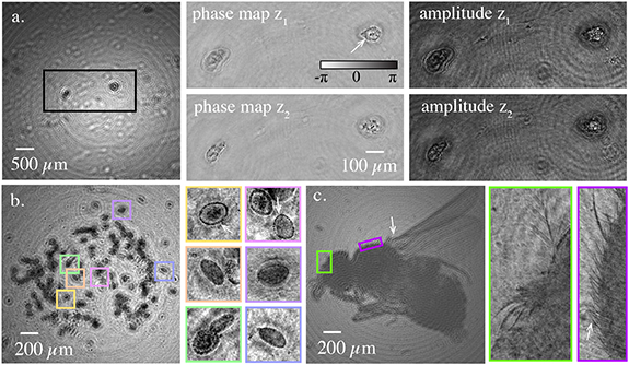High numerical aperture freeform-based illumination for compact ...