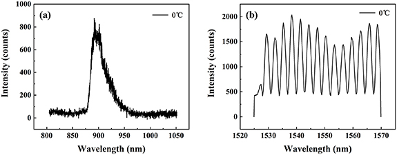A high-precision temperature monitoring system based on GaAs dual ...