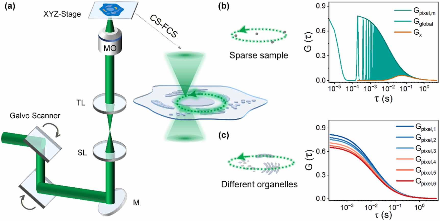 Cs Spectroscopy Circular scanning fluorescence correlation spectroscopy (CS-FCS) for ...