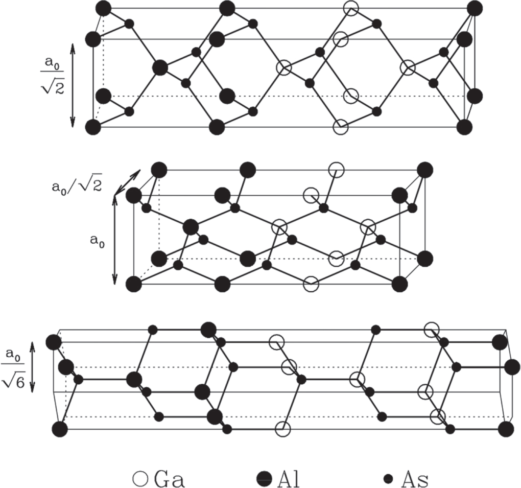 専用ページ ④ Self-Assembly Multivalent Fluorescence-Nanobody Coupled