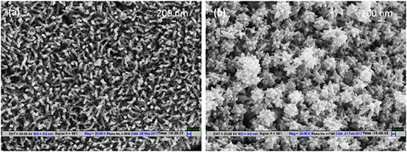 Thermochemical method of synthesizing stemmed nanoflower TiO2/eC3N4 ...