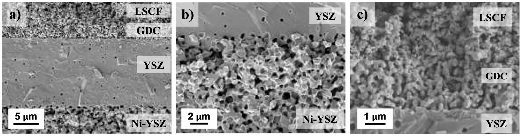 Reversible fuel electrode supported solid oxide cells fabricated by ...
