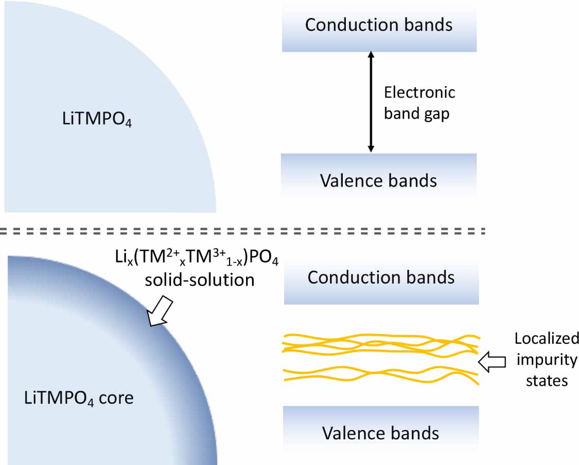 Nanoscale differentiation of surfaces and cores for olivine phosphate