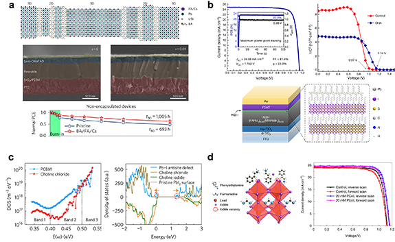 Defect passivation of perovskites in high efficiency solar cells ...