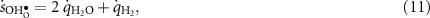 Equation (11)