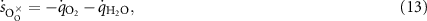 Equation (13)