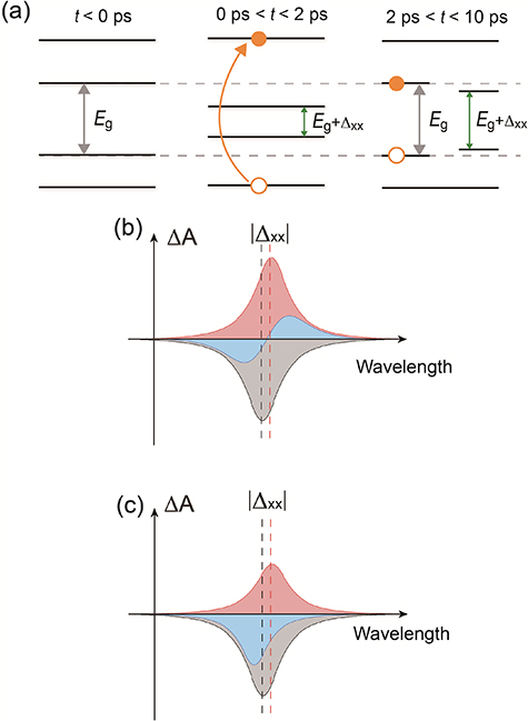 Surface energetics mediated charge transfer and exciton transfer in ...