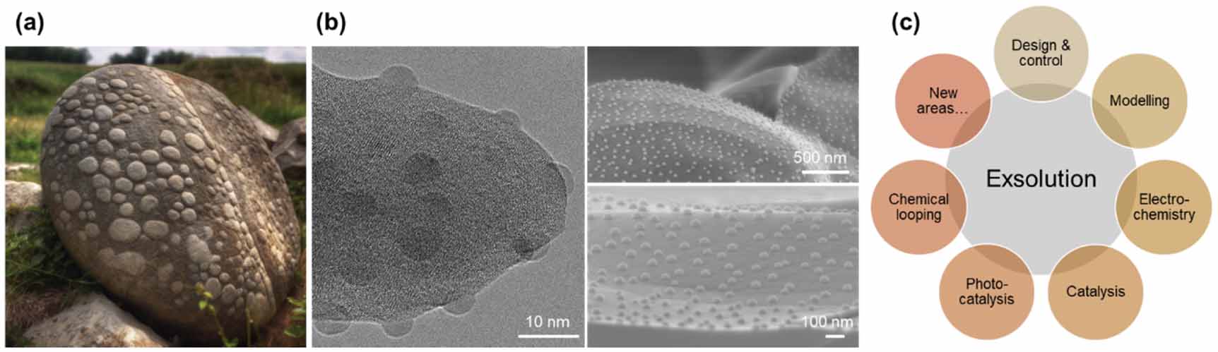 Roadmap on exsolution for energy applications - IOPscience