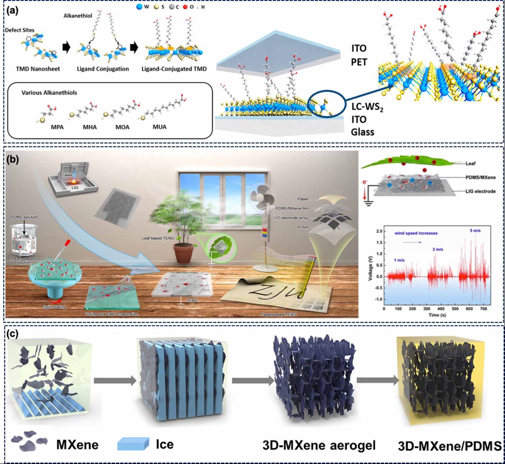 Recent developments in 2D materials for energy harvesting applications ...