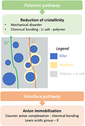 3D printing of solid polymer electrolytes by fused filament fabrication ...
