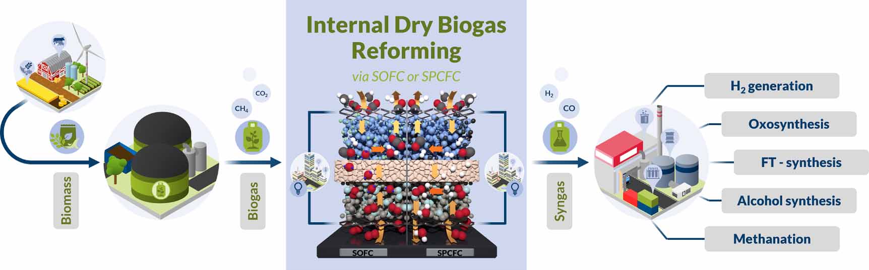 Internal biogas reforming in solid oxide and proton conducting fuel ...