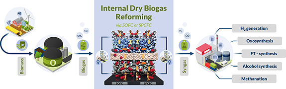 Internal biogas reforming in solid oxide and proton conducting fuel ...
