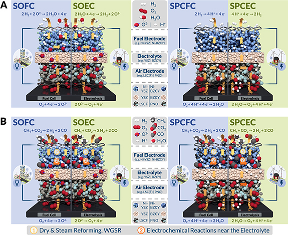 Internal biogas reforming in solid oxide and proton conducting fuel ...