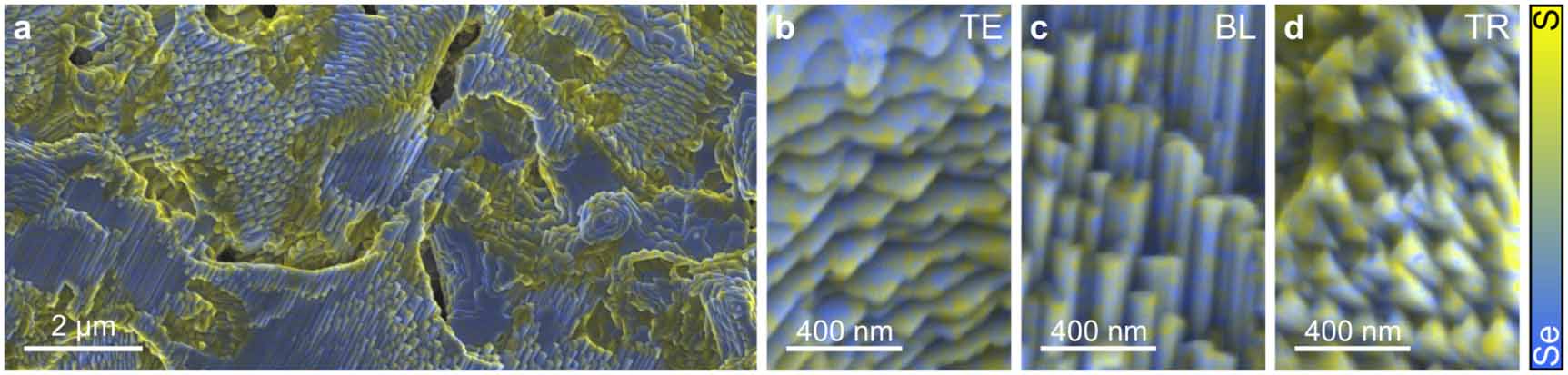 Se Distribution Surface morphology, electronic defects and passivation strategies at ...