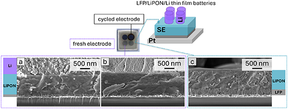 LiFePO4 cathode fabricated by pulsed laser deposition for all-solid ...