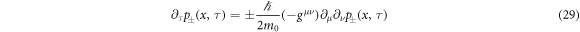 Equation (29)