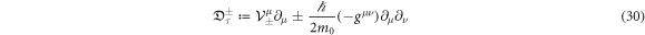 Equation (30)