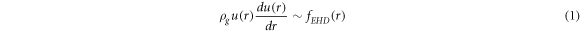 Equation (1)