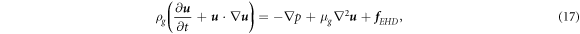 Equation (17)
