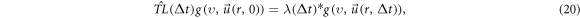 Equation (20)