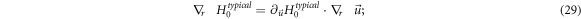 Equation (29)
