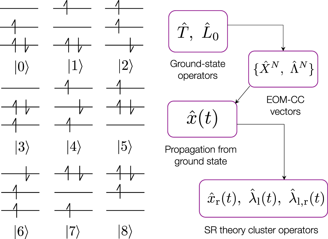 Second response theory: a theoretical formalism for the propagation of ...
