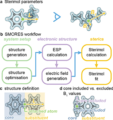 Computational workflow for steric assessment using the electric field ...