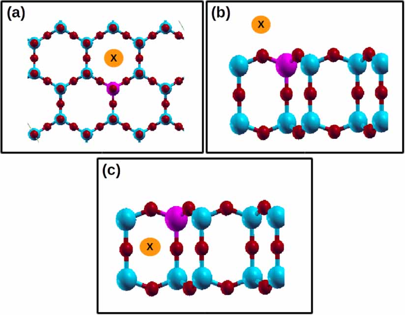 Density functional studies of protonated and alkali metal (Li, Na and K ...