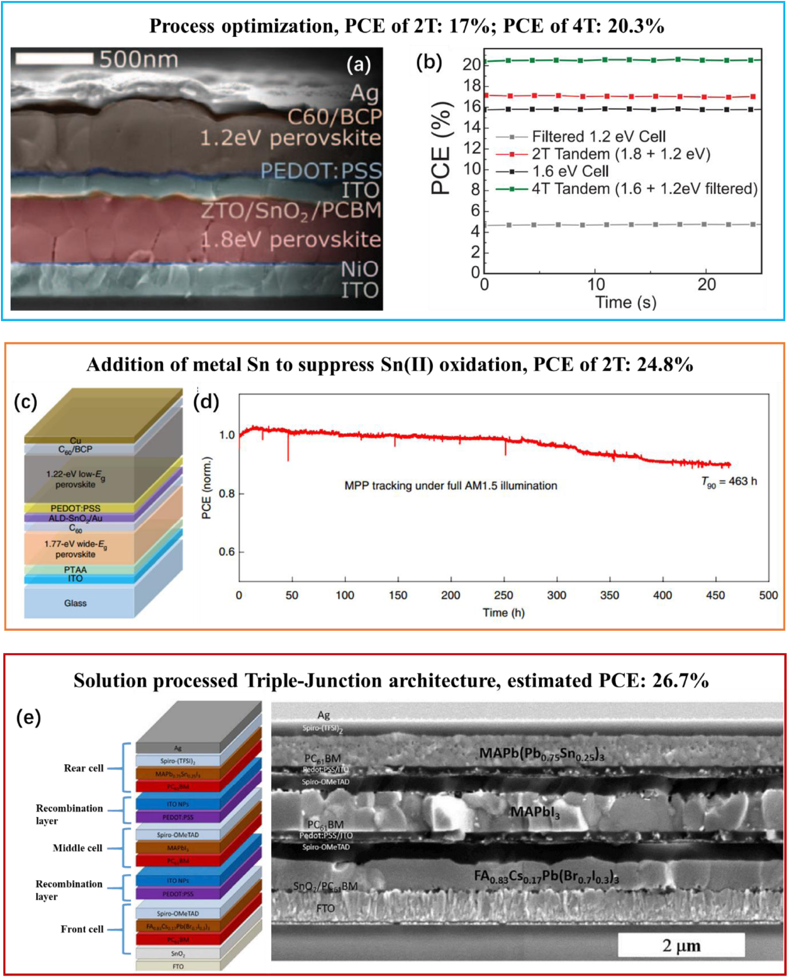 Intrinsic and environmental stability issues of perovskite ...