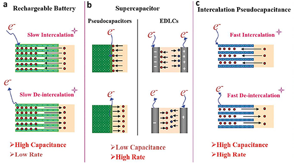 Intercalation in two-dimensional transition metal chalcogenides ...