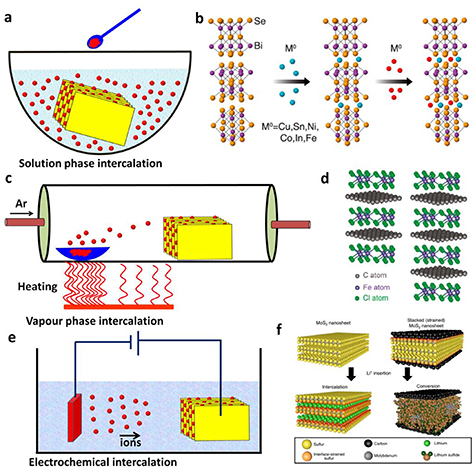 Intercalation in two-dimensional transition metal chalcogenides ...