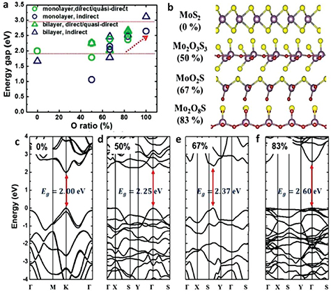 Intercalation in two-dimensional transition metal chalcogenides ...