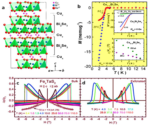Intercalation in two-dimensional transition metal chalcogenides ...