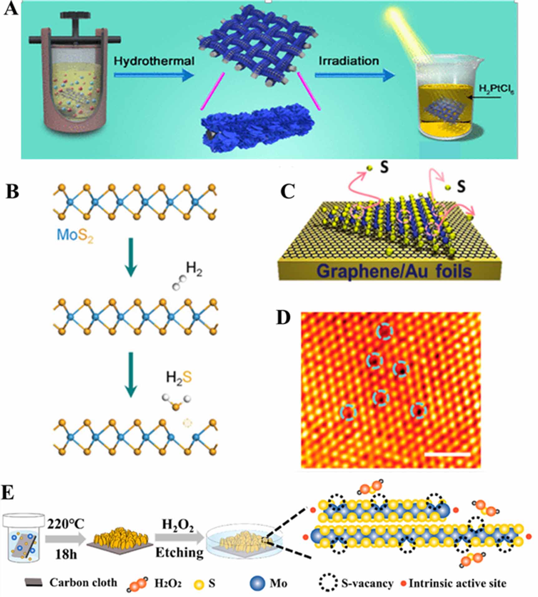 Metal single atom doped 2D materials for photocatalysis: current status ...