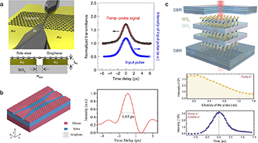 Advances in two-dimensional (2D) nonlinear optical (NLO) materials ...